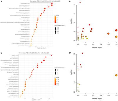 Metabolomic analysis of vascular cognitive impairment due to hepatocellular carcinoma
